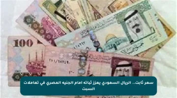 سعر ثابت..  الريال السعودي يعزز ثباته أمام الجنيه المصري في تعاملات السبت